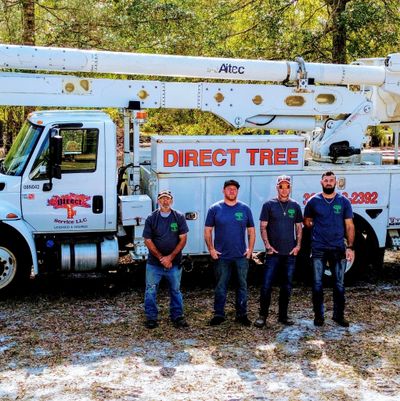 Direct Tree Service team at work