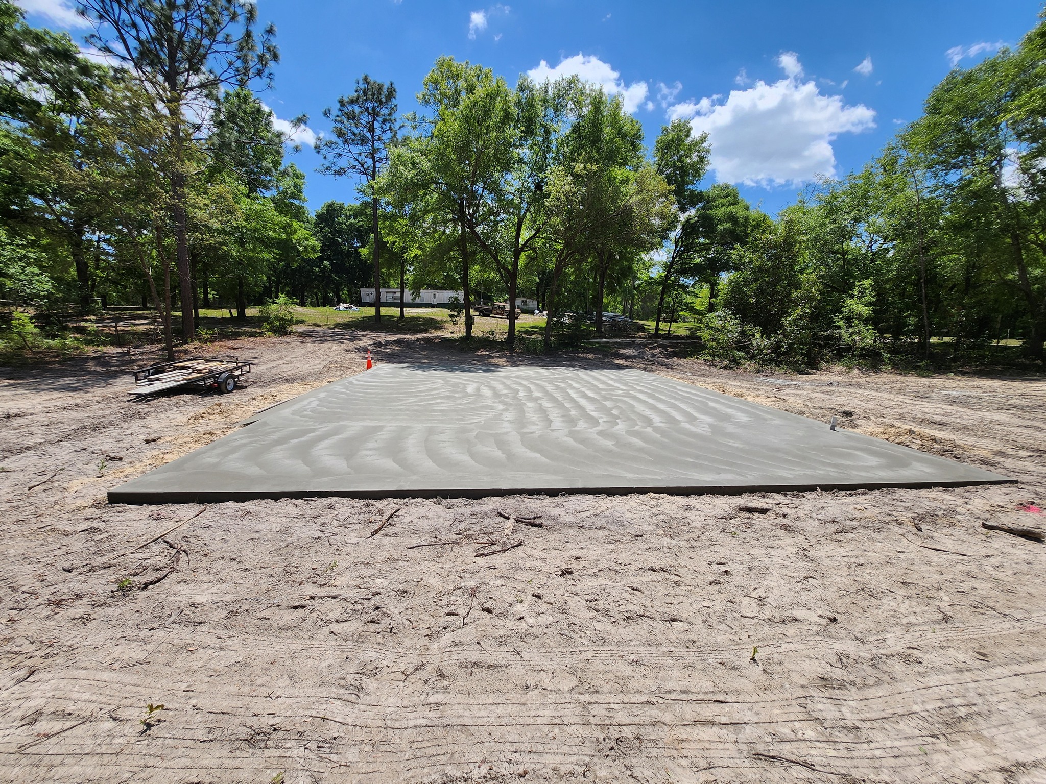 Commercial Tree Services in Lake City: What Property Managers and Business Owners Need to Know